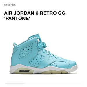 Air Jordan 6 “Pantone”